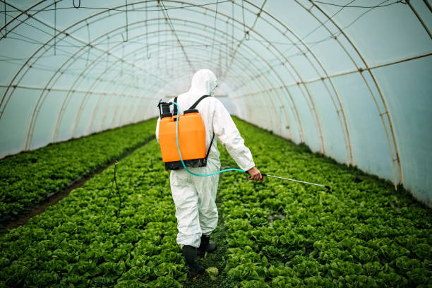 Best Commercial Pest Control Services  in Redington Shores, FL
