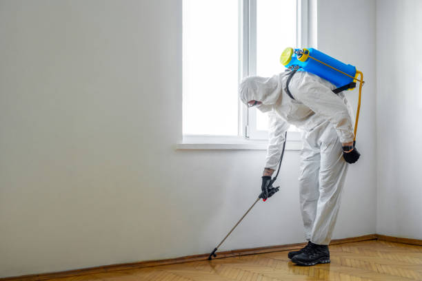 Best Pest Removal Services  in Redington Shores, FL