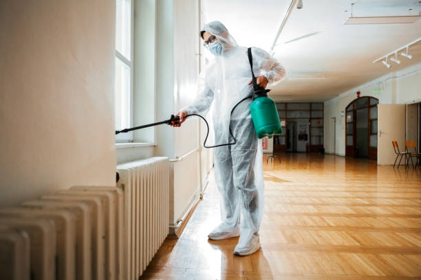 Best Pest Prevention Services  in Redington Shores, FL